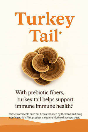 Mushroom Complex Capsules with Lion’s Mane, Reishi, Cordyceps, Chaga & Turkey Tail – True Totality Mushroom Power – Immune, Energy & Focus Support – 90 Vegan Capsules True TotalityBuy Supplements Australia