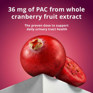 Solv Wellness Urinary Health 36 mg Cranberry PAC – Whole Cranberry Fruit Extract, Daily Urinary Tract Health Support, 30 Capsules