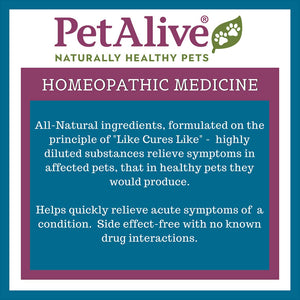 PetAlive Muscle and Joint Support-M - Natural Homeopathic Formula for Joint Pain and Stiffness in Pets - Supports Joint Health and Movement in Dogs and Cats - 59 mL PetAliveBuy Supplements Australia