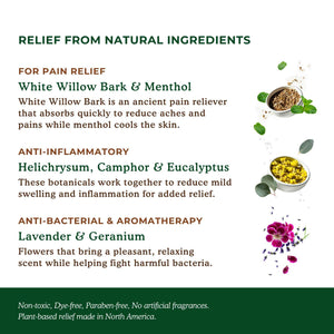 Nature's Willow Willow Balm Natural Pain Relief Cream for Muscles & Joints | Fast-Acting with Willow Bark & Menthol | Free from Artificial Fragrances & Dyes | 6-Pack | 3.5 fl oz