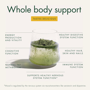 WelleCo The Super Elixir Daily Greens Powder, Probiotic Drink Mix with Whole Foods, Gluten Free, Vegan Gut Health Powder, Energy, Immunity, Healthy Skin, Hair & Nails (300g, Lemon Ginger) WelleCo buy supplements Au
