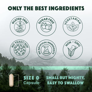 Natural Rhythm Triple Calm Magnesium Complex - 120 Capsules, Chelated Magnesium Glycinate, Taurate & Malate, High Absorption Supplement for Sleep, Stress, Muscle & Heart Support, Non-GMO, Vegan Natural Rhythm buy supplements Au