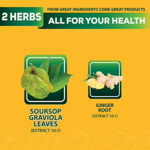 DEDICAD Soursop Leaves Tea Bags with Ginger, 30 Tea bags, 2gr/bag - Non-GMO/Caffeine free - Support Digestion, Well Skin, Immune System DEDICADÂ buy supplements Au