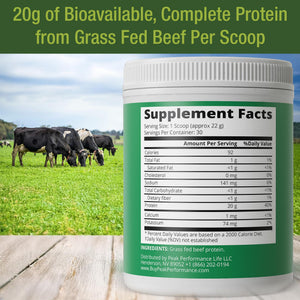 Grass Fed Beef Protein Powder - Lactose Free Great Tasting Beef Protein Isolate. Complete Animal Based Non Dairy Paleo Carnivore Supplement for Prime Muscle Building. No Whey. Unflavored Peak Performance buy supplements Au