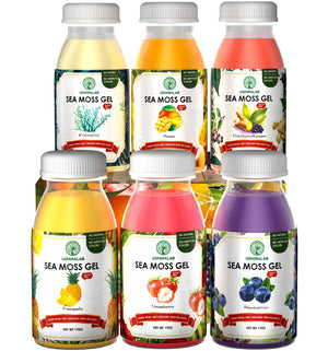 USMIRALAB Wildcrafted Sea Moss Gel for Purists: 6-Flavor Ritual Set (36oz) with Antioxidant Ocean Minerals | Pure Superfood Base Vegan USMIRALABBuy Supplements Australia