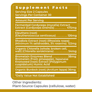 Premier Research Labs Magnesium Glycinate, Max BN-D, & AdrenaVen Supplement Bundle - Pure Magnesium, Liquid Vitamin B Complex for Liver & Brain Health, Adrenal Support for Women & Men - Pack of 3 Premier Research LabsBuy Supplements Australia