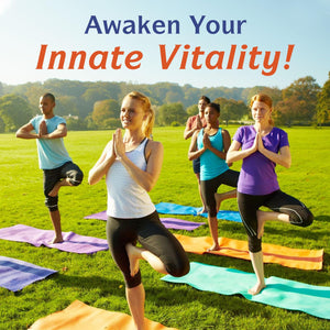 Innate Vitality 10-in-1 Magnesium Complex 960mg, 420mg Elemental Mag per Serving, with Magnesium Glycinate, Citrate, Malate, and More, Sleep, Digestion, Energy Support, 90 Vegan Caps Innate Vitality buy supplements Au