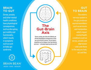 Brain Basics Ultra Pure IgG Supplement - Dairy-Free Supplement IgG-Immunolin Powder, Blended Vitamin & Mineral Supplements, 150g, 60 Servings Brain Bean buy supplements Au