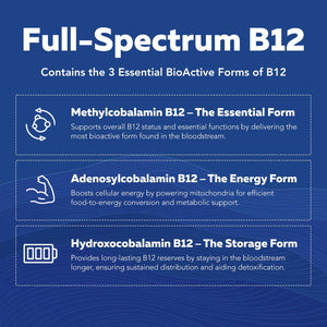 BioActive Vitamin B Complex - Blood Stream Ready, Methylated B Complex - Featuring Methylfolate, 3 BioActive Forms of B12, BenfoPure® B1 & Pantesin® B5 - 12 B Vitamins in Clinical Doses - 60 Servings - PrimeBioHealth - canada supplements