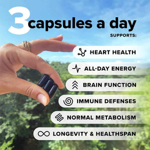 Complement Essential Vegan Multivitamin for Men & Women (60 Servings, 180 Capsules) with Omega-3 DHA & EPA, B12, Vitamin D3 & K2