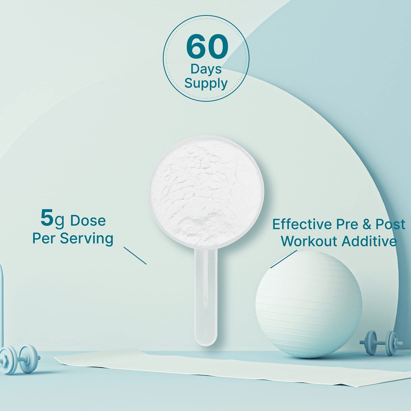 DEAL SUPPLEMENT Instant Creatine Monohydrate Powder, 5g Per Serving – 60 Servings | Micronized, Unflavored, Fast Absorbing Formula - PrimeBioHealth - canada supplements
