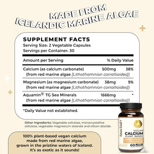 Future Kind Vegan Calcium Supplement - Plant-Based Calcium Magnesium Supplement Sourced from Iceland for Teeth & Bone Support (60 Capsules) - PrimeBioHealth - canada supplements