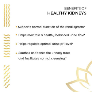 Kerala Ayurveda Healthy Kidney Herbal Tablets | Support Normal Kidney Function and Health | Kidney and Bladder Support | Urinary System Support - 90 Count
