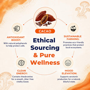 Malama Organic Mushroom Hot Cacao Mix, Lion's Mane Mushroom Powder with Fair Trade Cacao for Focus, Memory, & Immune Support – Vegan Superfood, Non GMO, 3.5 oz (50 Servings) - PrimeBioHealth - canada supplements