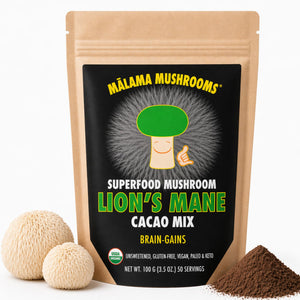 Malama Organic Mushroom Hot Cacao Mix, Lion's Mane Mushroom Powder with Fair Trade Cacao for Focus, Memory, & Immune Support – Vegan Superfood, Non GMO, 3.5 oz (50 Servings) - PrimeBioHealth - canada supplements