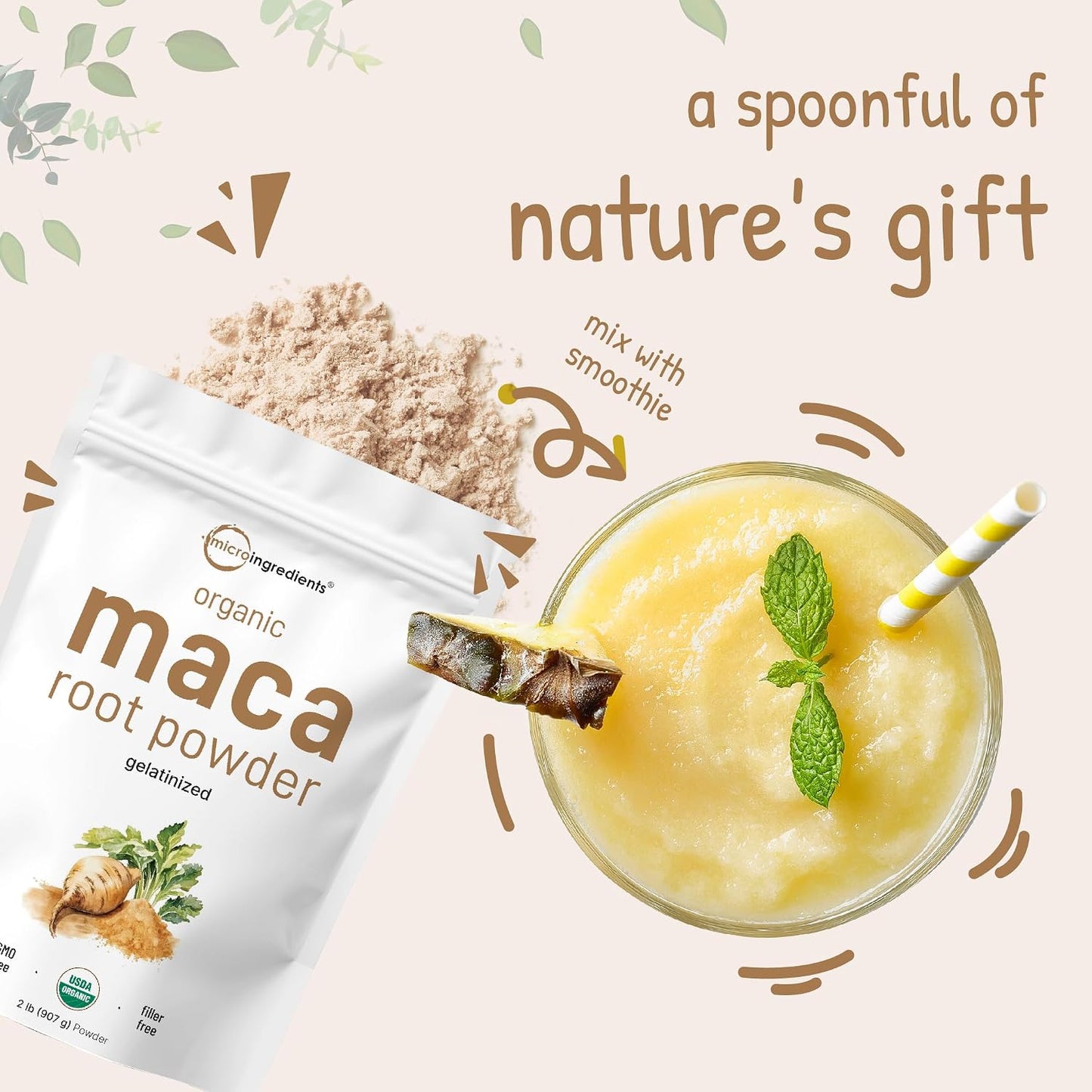 Micro Ingredients Organic Maca Root Powder, 2 Pound, Gelatinized for Better Absorption, Rich in Antioxidants, No GMOs, Vegan Friendly and Peru Origin - PrimeBioHealth - canada supplements