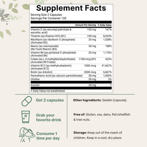 Micro Ingredients Pure Methylated B Complex, 240 Capsules | 11-in-1 Formula with Methylfolate, B12, Thiamin, Inositol, Choline, & Fat Soluble Vitamin C | Clean Ingredients Without Fillers | Non-GMO - PrimeBioHealth - canada supplements
