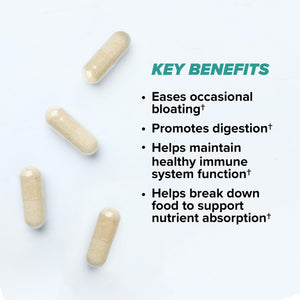 ONNIT Total Gut Health Daily Digestive Support, IGEN™ Non-GMO Tested Digestion Supplement for Women and Men with 7 Strains of Probiotics, - PrimeBioHealth - canada supplements