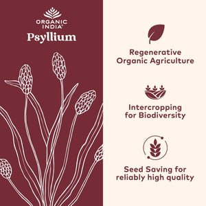 ORGANIC INDIA Psyllium Husk Capsules - Fiber Supplement, Healthy Elimination - Vegan, Keto Friendly, Gluten-Free, USDA Certified Organic, Non-GMO - PrimeBioHealth - canada supplements