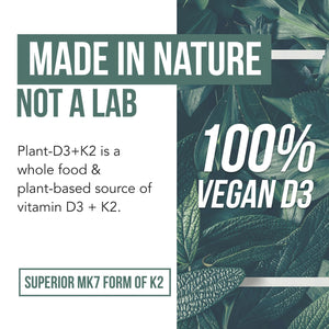 Organic Plant D3 + K2 | 5000 iu D3 + 120 mcg K2 as All-Trans MK7 from MenaQ7® - 100% Whole Food, Raw & Vegan | Enhanced Digestion with Prebiotic & Superfood Complex – D3 from Organic Algae (60 Count) - PrimeBioHealth - canada supplements
