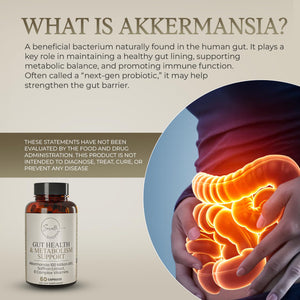 SORELLE SHOPPE Akkermansia Muciniphila Probiotic + Saffron + B Complex | Core Gut Health & Daily Wellness | Mood & Metabolism Support - PrimeBioHealth - canada supplements