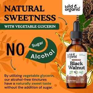 Wild & Organic Black Walnut Hull Tincture - Cleanse & Gut Support - Black Walnut Extract Supplement - Fast Absorption Liquid Drops - Add to Tea & Mix with Powder - Without Alcohol & Sugar - 4 fl oz - PrimeBioHealth - canada supplements
