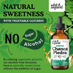 Wild & Organic Chanca Piedra Stone Breaker Drops - Kidney, Gallbladder & Urinary Support - Chanca Piedra Liquid Extract for Fast Absorption - Add to Tea Herb Tincture - Sugar & Alcohol-Free - 4 oz - PrimeBioHealth - canada supplements