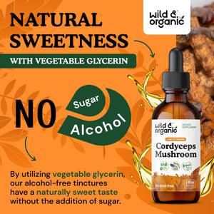 Wild & Organic Cordyceps Mushroom Tincture - Energy & Immune Support - Cordyceps Sinensis Extract Supplement - Liquid Mushroom Drops - Add to Tea & Mix with Powder - Sugar & Alcohol-Free - 4 fl oz - PrimeBioHealth - canada supplements