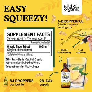 Wild & Organic Ginger Root Extract Drops - Immune & Digestive Support - Liquid Ginger Supplements - Easy to Add to Tea - Vegan, Sugar & Alcohol-Free Tincture - 4 fl oz - PrimeBioHealth - canada supplements