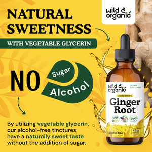 Wild & Organic Ginger Root Extract Drops - Immune & Digestive Support - Liquid Ginger Supplements - Easy to Add to Tea - Vegan, Sugar & Alcohol-Free Tincture - 4 fl oz - PrimeBioHealth - canada supplements