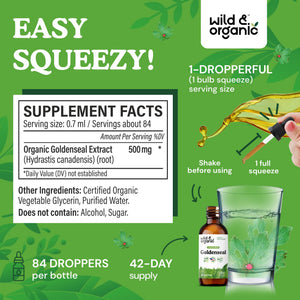 Wild & Organic Goldenseal Tincture - Lung & Digestive Support - Goldenseal Root Extract Liquid Drops - Vegan, Sugar & Alcohol-Free Herb Supplement - 4 fl oz - PrimeBioHealth - canada supplements