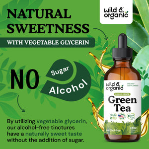 Wild & Organic Green Tea Extract Liquid Drops - Antioxidant Support - Pure Green Tea Supplement - 84-Day Supply - Vegan, Sugar & Alcohol-Free Camellia Sinensis Tincture - 4 fl oz - PrimeBioHealth - canada supplements