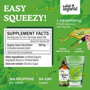 Wild & Organic Green Tea Extract Liquid Drops - Antioxidant Support - Pure Green Tea Supplement - 84-Day Supply - Vegan, Sugar & Alcohol-Free Camellia Sinensis Tincture - 4 fl oz - PrimeBioHealth - canada supplements
