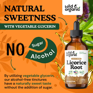 Wild & Organic Licorice Root Tincture - Digestive, Lung & Skin Support - Licorice Root Extract Liquid Drops - Vegan, Sugar & Alcohol-Free Supplement - 4 fl oz - PrimeBioHealth - canada supplements
