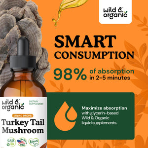 Wild & Organic Turkey Tail Mushroom Tincture - Immune Support Drops with Turkey Tail Extract - Liquid Mushroom Supplement for Gut Support - Vegan, Sugar & Alcohol-Free - 4 fl oz - PrimeBioHealth - canada supplements