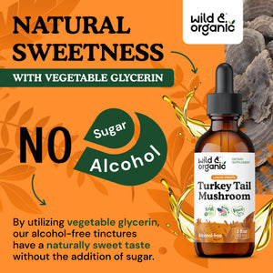Wild & Organic Turkey Tail Mushroom Tincture - Immune Support Drops with Turkey Tail Extract - Liquid Mushroom Supplement for Gut Support - Vegan, Sugar & Alcohol-Free - 4 fl oz - PrimeBioHealth - canada supplements
