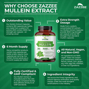 Zazzee Extra Strength Mullein Leaf 10:1 Extract, 120 Vegan Capsules, 4 Month Supply, Verbascum Thapsus, Respiratory & Lung Support, Certified Kosher, 100% Pure Leaf Powder, Non-GMO, Made in the USA - PrimeBioHealth - canada supplements