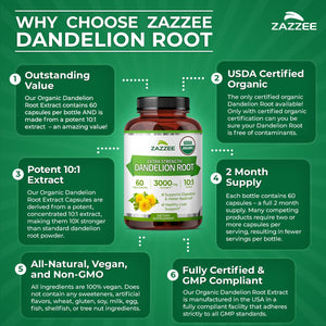 Zazzee USDA Organic Dandelion Root 10:1 Extract, 120 Capsules, 4 Month Supply, Liver & Detox Support, Taraxacum Officinale, Organic Herbal Supplement, All-Natural, Non-GMO, Made in the USA - PrimeBioHealth - canada supplements
