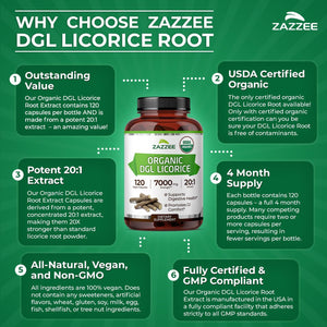Zazzee USDA Organic DGL Licorice 20:1 Extract, 120 Vegan Capsules, 4 Month Supply, Deglycyrrhizinated Licorice Root, Glycyrrhiza Glabra, Digestive & Stomach Support, All-Natural, Non-GMO, Made in USA - PrimeBioHealth - canada supplements