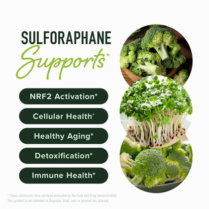 50MG Sulforaphane Supplement from Broccoli Sprouts | NRF2 Activation, Cellular Health & Immune Support | Glucoraphanin, Myrosinase & Antioxidants | Third-Party Tested - PrimeBioHealth - canada supplements
