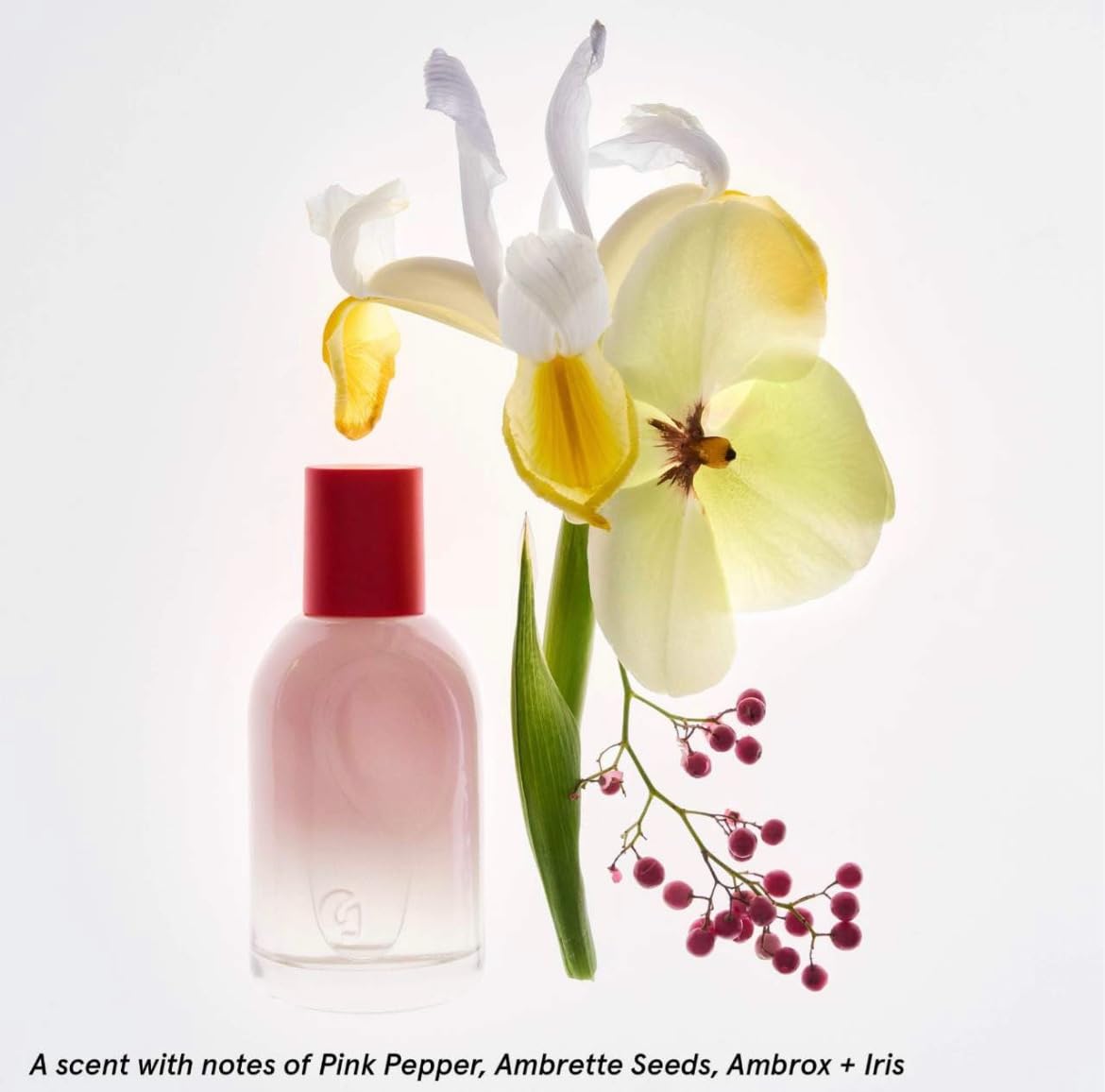 Glossier You Limited Edition Two of You Eau de Parfum Holiday Gift Set - Full Size Spray (1.7oz / 50ml) and Travel Size Rollerball (0.27oz / 8ml) GlossierBuy Supplements Australia