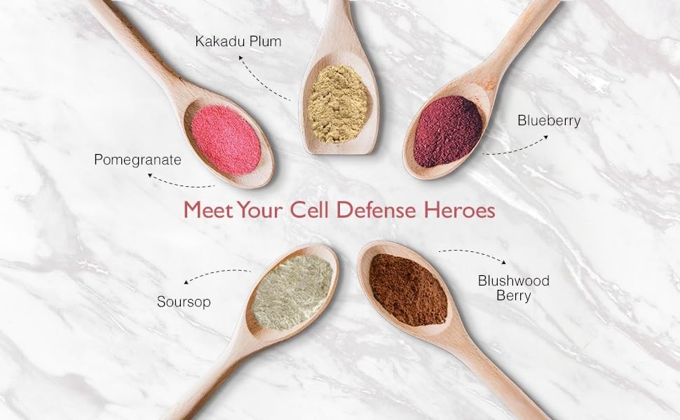 Aussie Pure Blushwood Berry Superfruit Daily Cell Defense - Soursop - Kakadu Plum - Pomegranate - Blueberry - Immune and Cell Support Powder - All Ages - Lab Tested and Authenticated - 180g/6.4oz Aussie Pure buy supplements Au