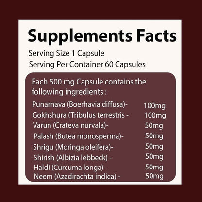 VEDIKROOTS UroEase | Ayurvedic Herbal Supplement for Kidney Health & Uric Acid Levels | Supports Urinary Tract Health | 60 Veg Capsules