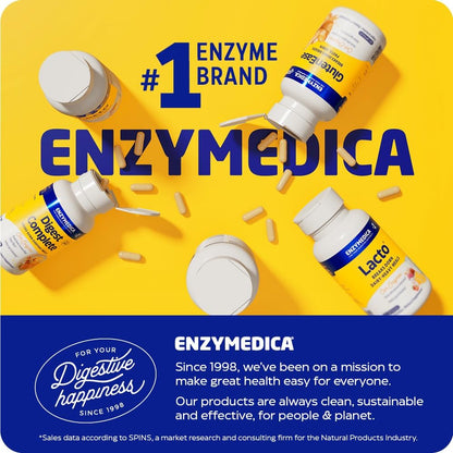Enzymedica Berberine Phytosome High Absorption Supplement - Berbevis Berberine Phytosome Capsules for Men & Women, Bioavailable Formula, Natural Metabolic Health Support, Vegan, Gluten Free - 60 Caps