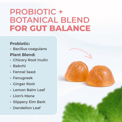 Nature’s NutriWave PrimeBiome Probiotic Gummies – Plant-Based Blend with Inulin, Lion’s Mane, Ginger & More– Non-GMO, No Stimulants, GMP Certified – 30 Gummies, 1 Month Supply Nature’s NutriWave buy supplements Au