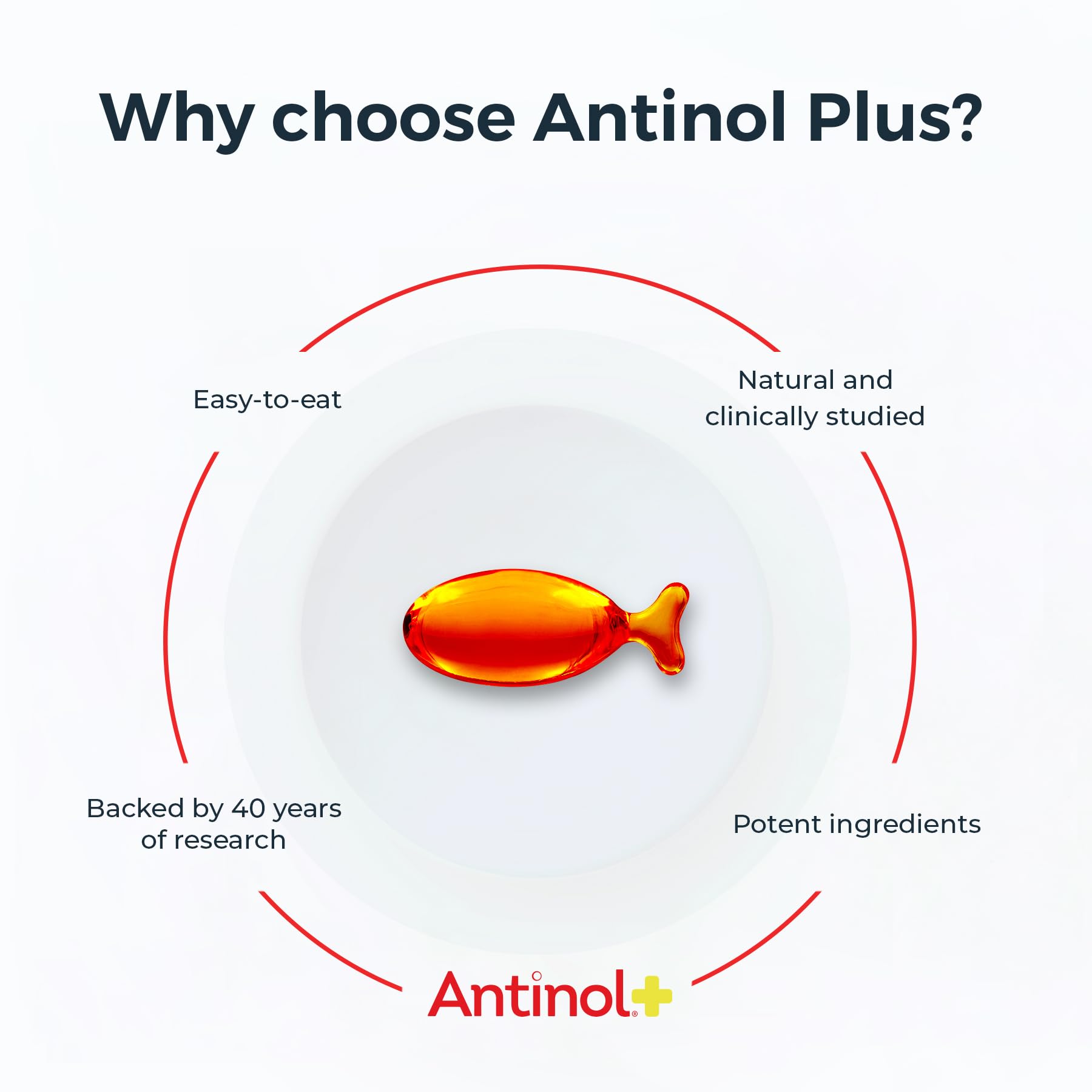 Antinol Plus, Mobility, Hip, and Joint Supplement for Cats, Green-Lipped Mussels and Krill Oil - Cat Joint Supplement, 30 Soft Gels AntinolBuy Supplements Australia