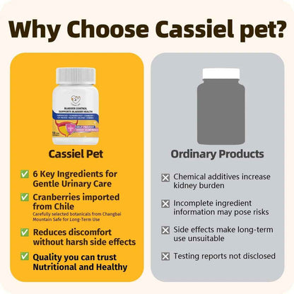 Cassiel Pet Bladder Supports Chews for Urinary Tract Health, Infection Treatments, Bladder Health, Dog UTI, Bladder Stones, Incontinence Support, Urinary Pain Relief for Cat & Dog 10 Chews (1 Bottle)