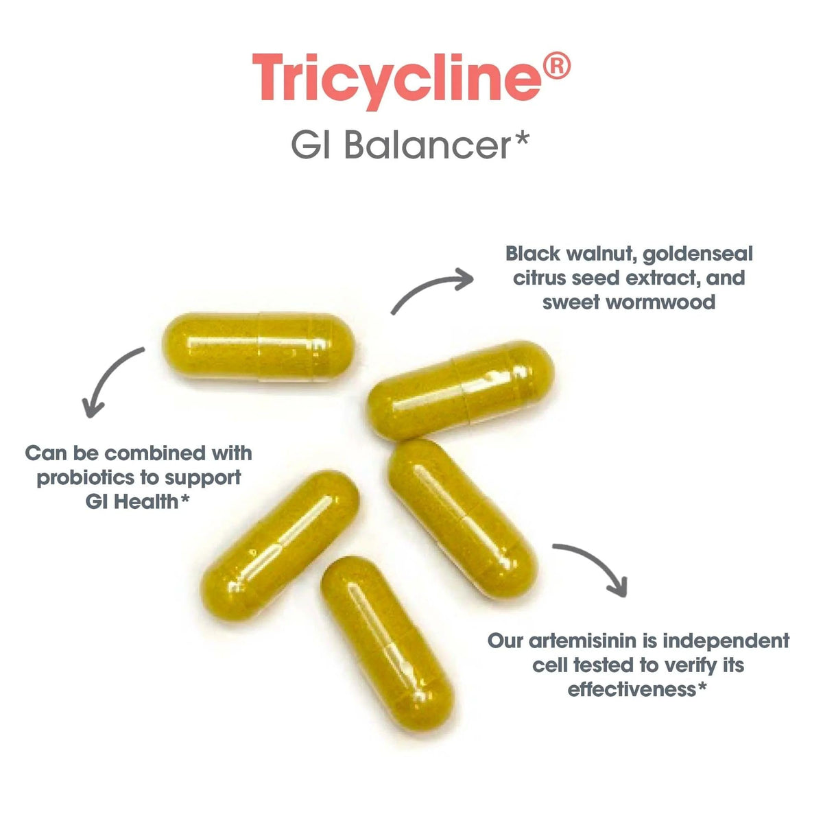 Nutricology TriBiotics - Berberine Artemisinin Botanical Blend - Gastrointestinal Support - Hypoallergenic - 45 Servings - 90 Capsules Allergy Research Group buy supplements Au
