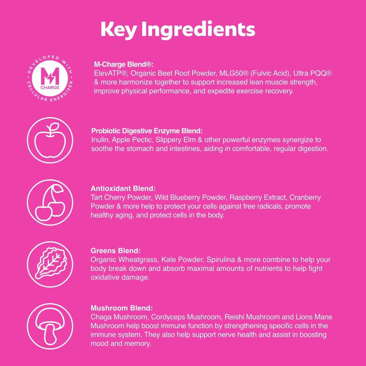 L'Evate You Vitality Daily Greens Powder (28 Servings) 30 Superfoods, 9 Greens - for a Cellular Energy Boost, Powered by M-Charge Complex for All Day Energy (Tart Cherry) Steve Harvey's L'Evate You buy supplements Au