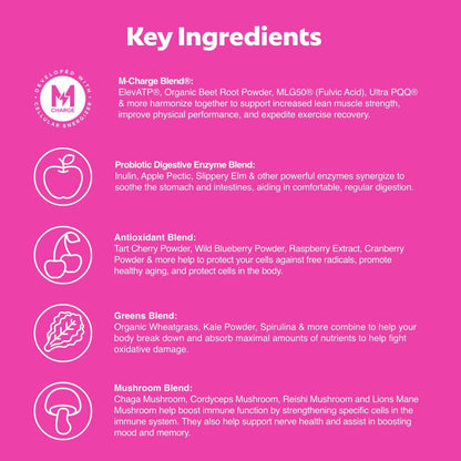 L'Evate You Vitality Daily Greens Powder (28 Servings) 30 Superfoods, 9 Greens - for a Cellular Energy Boost, Powered by M-Charge Complex for All Day Energy (Tart Cherry) Steve Harvey's L'Evate You buy supplements Au